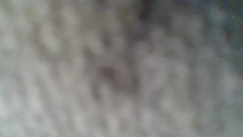 Snapshot of givr6inches chatting on February 25, 10:37 am e-Bizl online show from February 25, 10:37 am