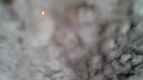 Snapshot of givr6inches chatting on March 7, 1:18 pm e-Bizl online show from March 7, 1:18 pm