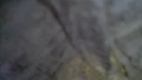 Snapshot of givr6inches chatting on September 11, 9:04 pm e-Bizl online show from September 11, 9:04 pm