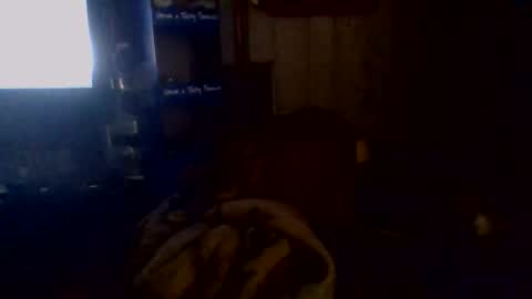 Snapshot of givr6inches chatting on November 2, 5:10 am e-Bizl online show from November 2, 5:10 am