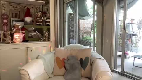 Snapshot of gl1tter_barbie chatting on November 26, 12:39 pm Gl1tter Barbie online show from November 26, 12:39 pm