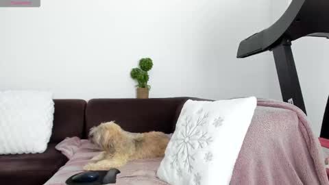 Alice online show from January 13, 10:26 pm