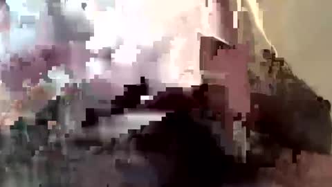 gmenocal21 online show from February 27, 7:58 pm