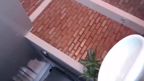 daniela online show from November 9, 6:06 pm