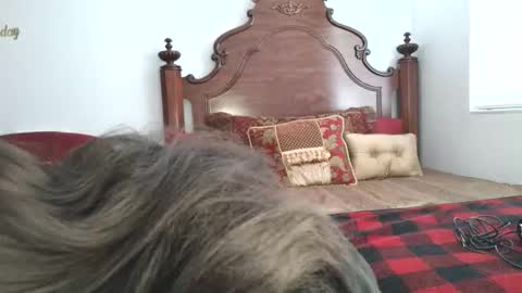 Xandra The Goddess online show from March 19, 1:26 pm