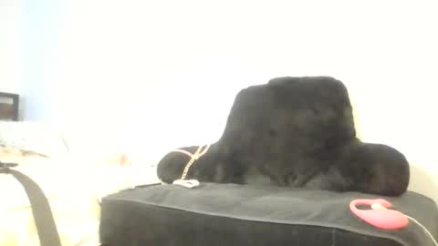 goddessdiiamond online show from May 14, 4:52 am