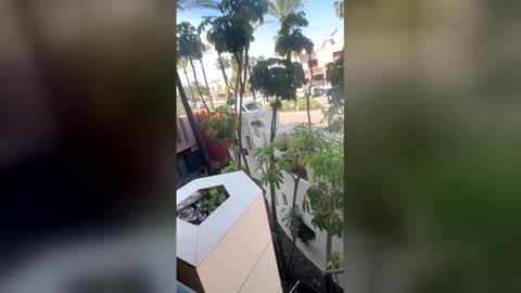 Goddess L online show from April 20, 9:01 am