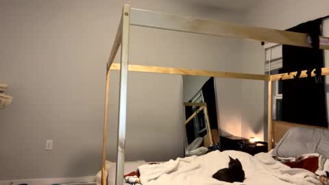 Snapshot of goddessfeyaa chatting on January 12, 11:47 pm feyaa22 online show from January 12, 11:47 pm