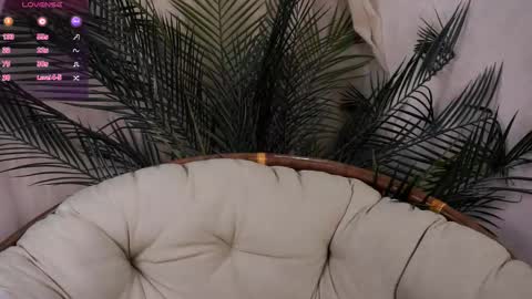 angel online show from November 7, 3:39 am