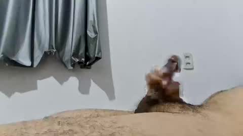 Snapshot of good_boy_sex chatting on December 19, 1:23 am Good boy online show from December 19, 1:23 am