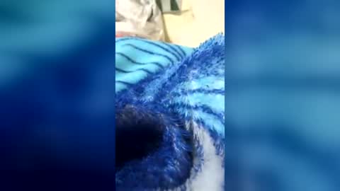 Snapshot of googl111 chatting on July 25, 6:38 pm googl111 online show from July 25, 6:38 pm