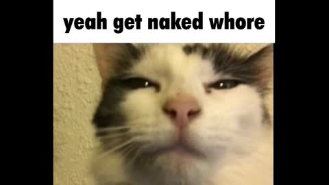 Amy online show from March 3, 12:26 am