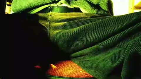 Snapshot of grapefruit chatting on November 12, 9:21 am grapefruit online show from November 12, 9:21 am