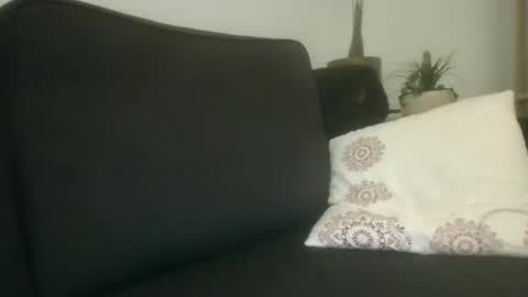 Snapshot of greatdick25700 chatting on September 8, 8:19 pm greatdick25700 online show from September 8, 8:19 pm