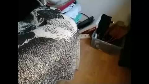 Greg online show from January 21, 9:46 am