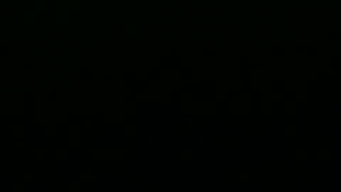 greyfox_6000 online show from February 25, 4:21 pm