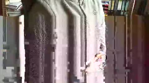 Snapshot of greyhounddog chatting on November 5, 9:42 am greyhounddog online show from November 5, 9:42 am