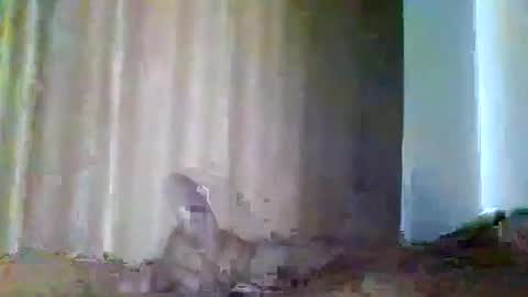 Snapshot of grupalenfection chatting on February 7, 1:53 pm grupalenfection online show from February 7, 1:53 pm