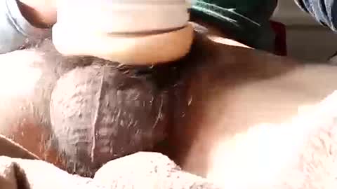 Snapshot of guapopapi88 chatting on January 12, 8:57 pm guapopapi88 online show from January 12, 8:57 pm