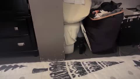 Snapshot of gumbywanna chatting on December 20, 1:36 am gumbywanna online show from December 20, 1:36 am