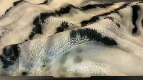 Snapshot of gumbywanna chatting on November 26, 2:56 am gumbywanna online show from November 26, 2:56 am