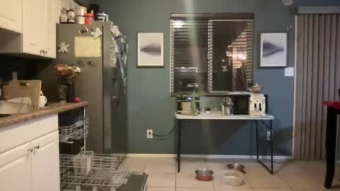 Snapshot of guyduder chatting on November 13, 2:54 am guyduder online show from November 13, 2:54 am