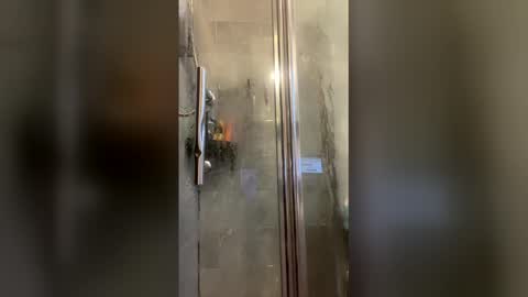 Workmans cam online show from January 11, 2:22 pm