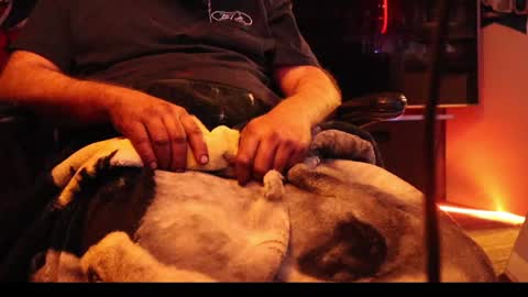 h0tttsteel online show from December 18, 1:12 pm