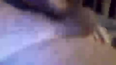 h_rd333 online show from March 11, 1:45 pm