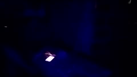 hackerbtc11 online show from April 8, 3:17 am