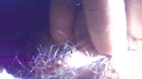 Snapshot of hagridthehorrible chatting on November 1, 11:23 am hagridthehorrible online show from November 1, 11:23 am