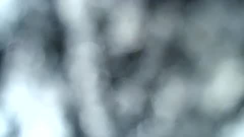 Snapshot of haileyblonde chatting on January 17, 12:53 am tatted blonde online show from January 17, 12:53 am