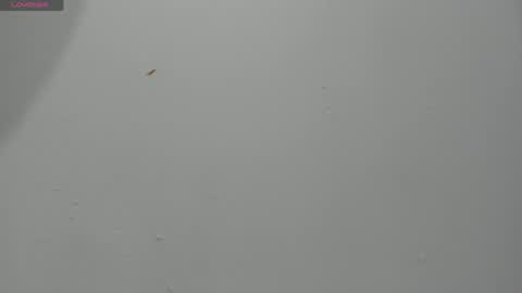 Hailey online show from April 2, 11:57 pm