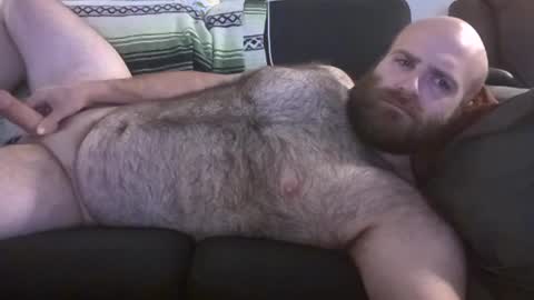 Hairiest Bear online show from June 27, 8:30 am