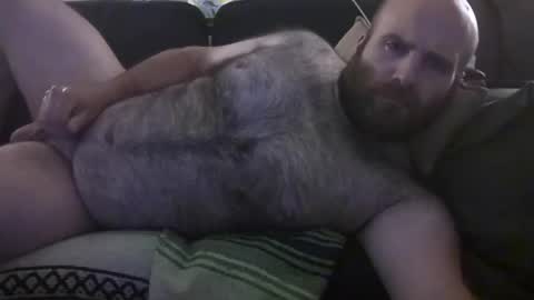 Hairiest Bear online show from June 28, 9:59 am
