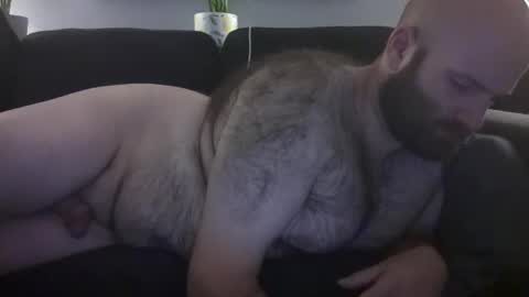 Hairiest Bear online show from July 8, 7:02 am
