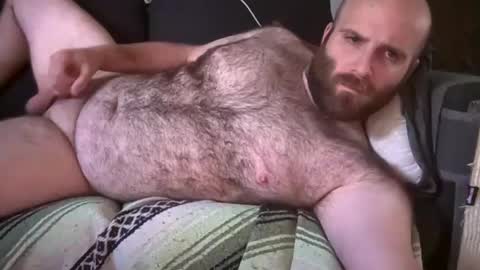 Hairiest Bear online show from July 8, 7:07 pm