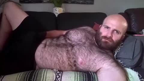 Hairiest Bear online show from July 31, 8:30 pm