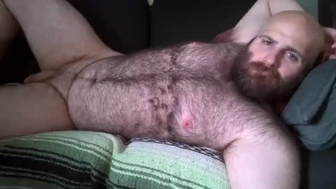 Hairiest Bear online show from August 1, 8:08 pm