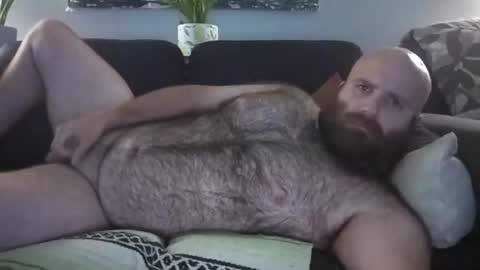 Hairiest Bear online show from August 2, 9:08 am