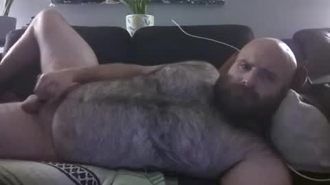 Hairiest Bear online show from August 3, 2:43 am