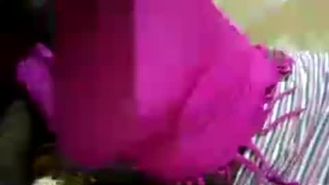 hairy_africanbae online show from July 12, 10:01 pm