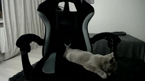 Snapshot of hairycuss chatting on January 10, 5:05 am Adam online show from January 10, 5:05 am