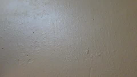 hamhead71 online show from January 27, 6:52 pm