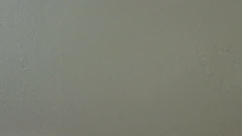 hamhead71 online show from February 15, 5:41 am