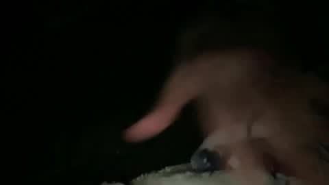 relax online show from March 23, 3:32 am