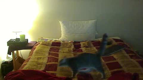 hammerthatthang73 online show from November 3, 1:29 am