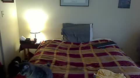 hammerthatthang73 online show from March 20, 10:14 pm