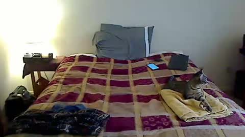 hammerthatthang73 online show from March 23, 9:30 pm