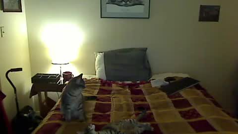 hammerthatthang73 online show from March 30, 9:43 am